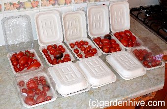 Trays covering tomators